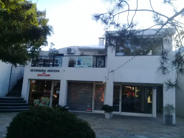 Reforma Calle Saez -