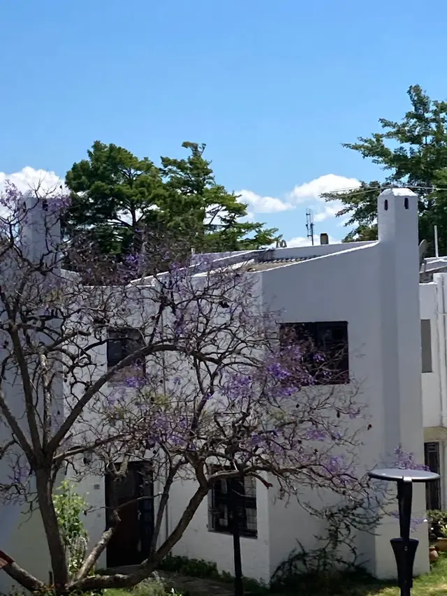 Viviendas Calle Rene - 